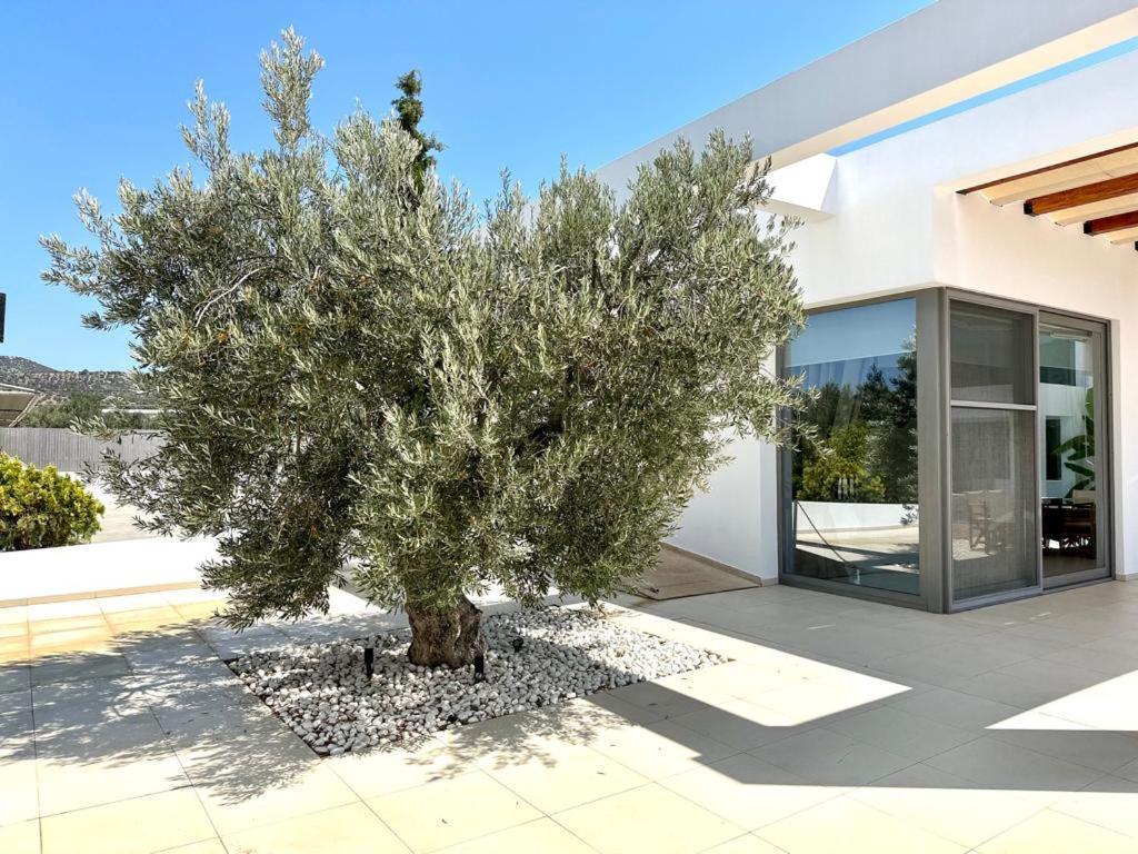 Leblanc Luxurious Beachfront Villa, Gcollectiongr Ermioni Exterior foto